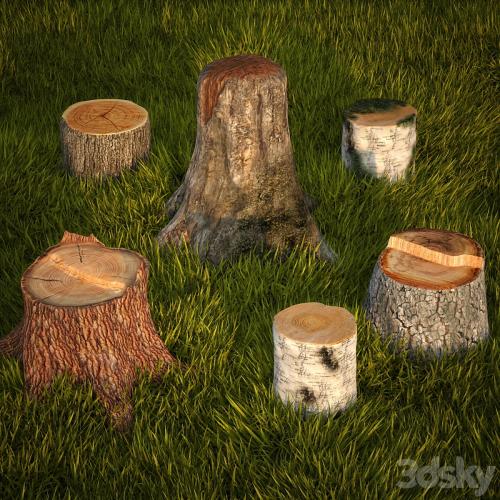 Tree stumps collection & grass