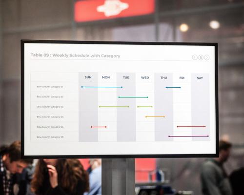 Weekly Project Schedule with Category and Timeline Infographic - 430208497