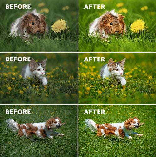 Before and After Photo Effect - 430848137