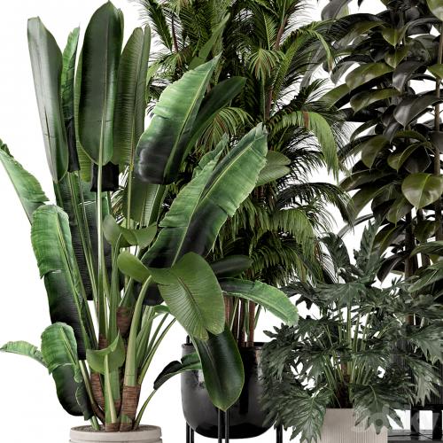 Indoor Plants in Ferm Living Bau Pot Large - Set 740