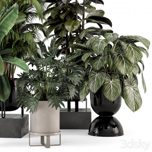 Indoor Plants in Ferm Living Bau Pot Large - Set 740