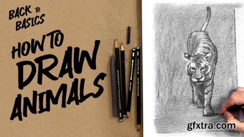 Back to Basics: How to Draw Animals
