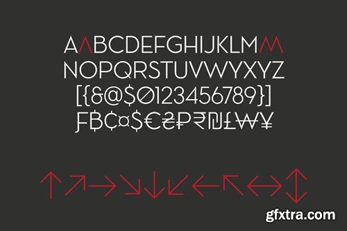 Ace Sans Variable Font 6RQK936