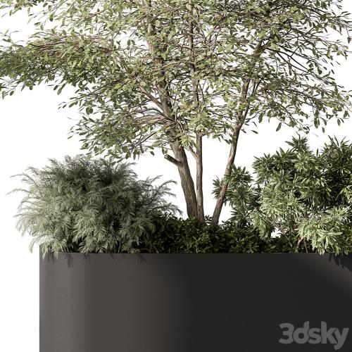 Plant Box - Outdoor Plants 515