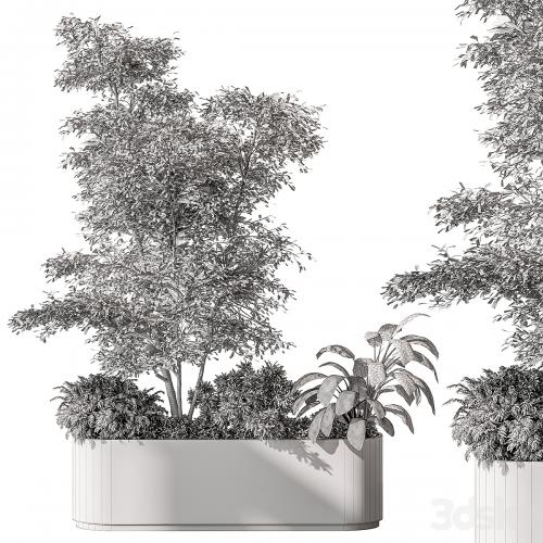 Plant Box - Outdoor Plants 515