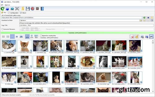 Bulk Image Downloader 6.42 Multilingual