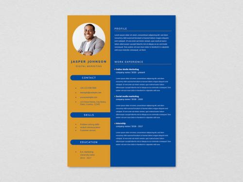 Professional CV Editable Layout - 435683489