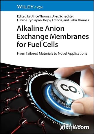 Alkaline Anion Exchange Membranes for Fuel Cells: From Tailored Materials to Novel Applications