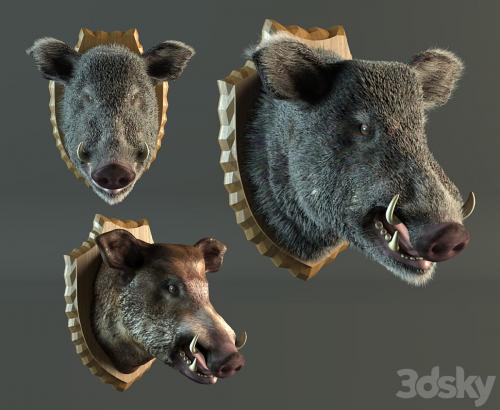 stuffed wild boar