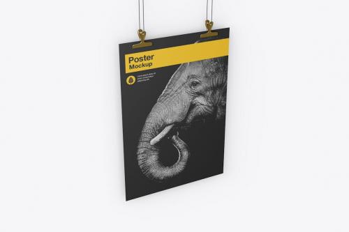 Isolated Vertical Hanging Poster Mockup