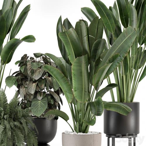 Indoor Plants in Ferm Living Bau Pot Large - Set 1256