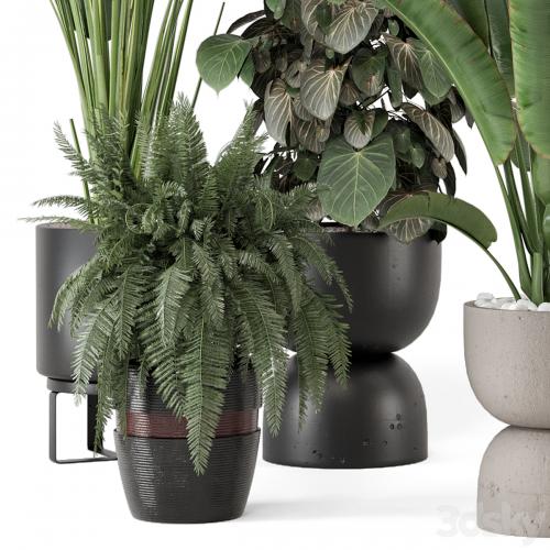 Indoor Plants in Ferm Living Bau Pot Large - Set 1256