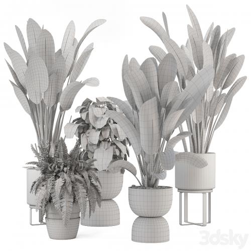 Indoor Plants in Ferm Living Bau Pot Large - Set 1256