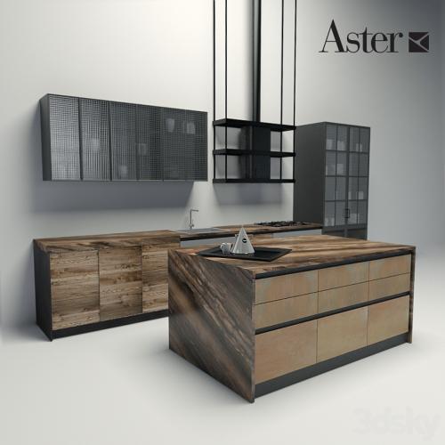 Aster - factory