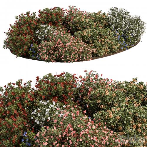 Garden colorful Flower Bush - Set 452