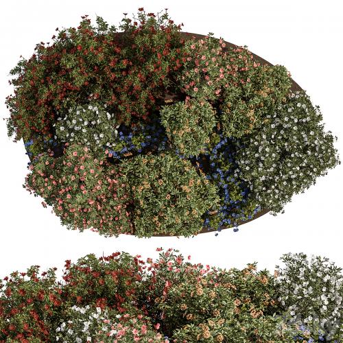 Garden colorful Flower Bush - Set 452