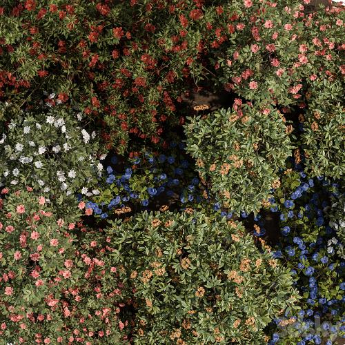 Garden colorful Flower Bush - Set 452