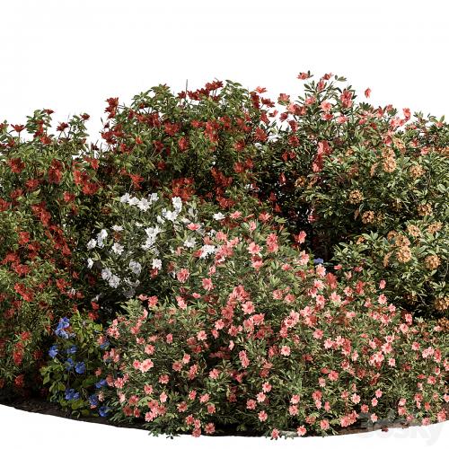 Garden colorful Flower Bush - Set 452