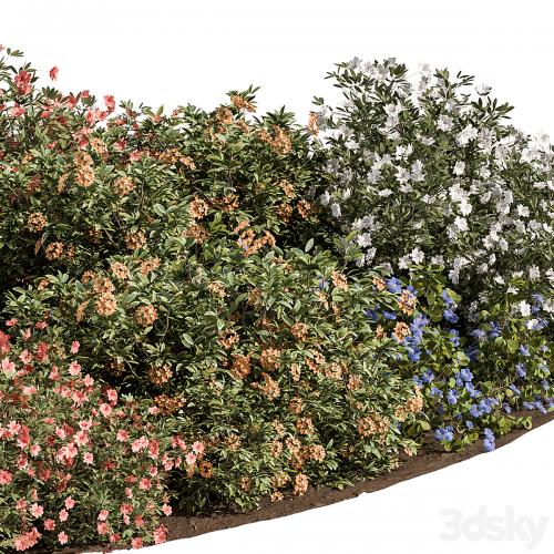 Garden colorful Flower Bush - Set 452