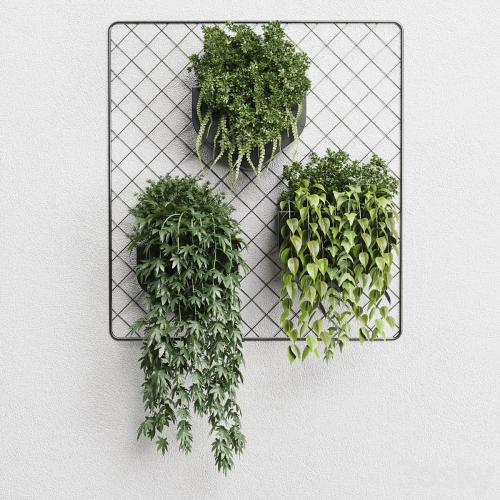 wall plant - hanging plants collection Indoor plant 293 metal dirt vase