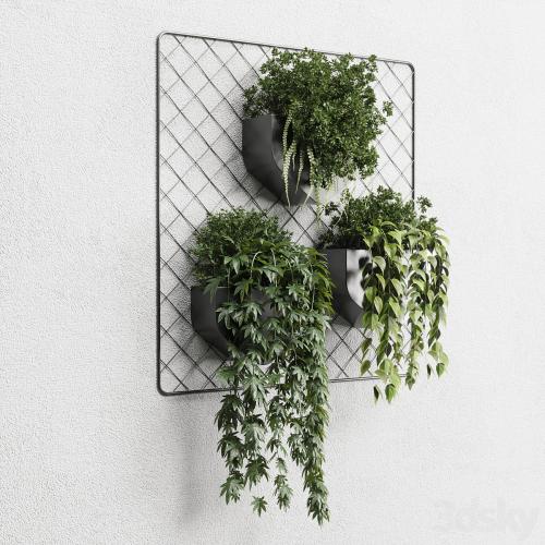 wall plant - hanging plants collection Indoor plant 293 metal dirt vase