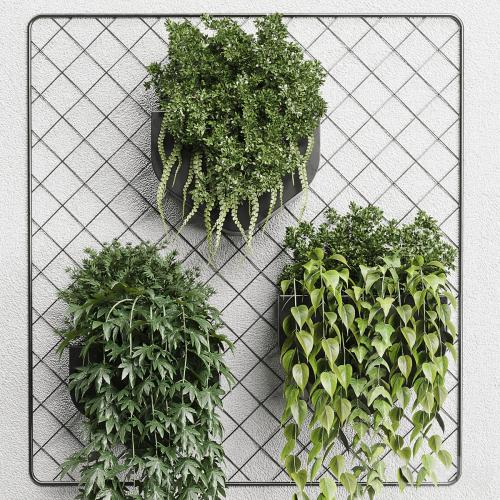 wall plant - hanging plants collection Indoor plant 293 metal dirt vase