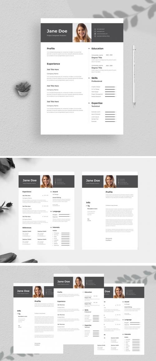 Professional Clean Resume - 437294712