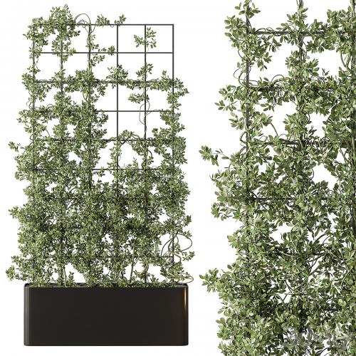 Vertical Garden Partiton - Set 101