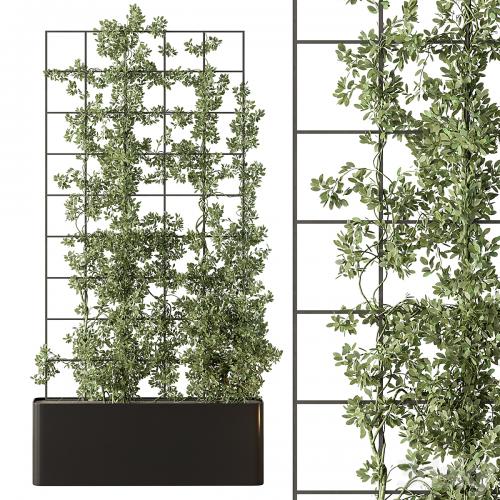 Vertical Garden Partiton - Set 101