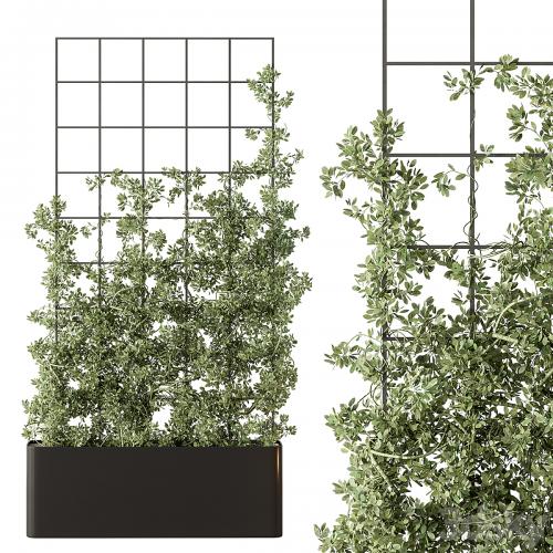 Vertical Garden Partiton - Set 101