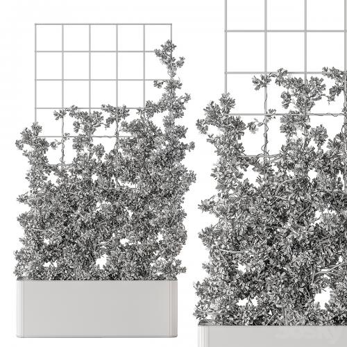 Vertical Garden Partiton - Set 101