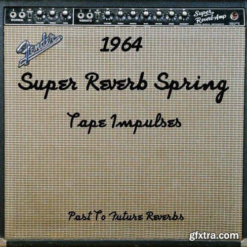 PastToFutureReverbs Fender 1964 Super Reverb Spring