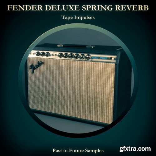 PastToFutureReverbs Fender Deluxe Spring Reverb