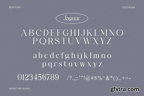 Jaguar Elegant Serif Font Typeface B8XHLHV