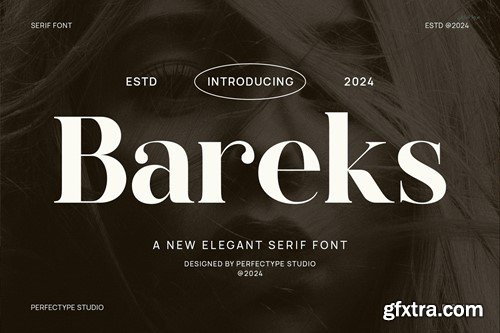 Bareks Elegant Serif Font Typeface DUJZYDZ