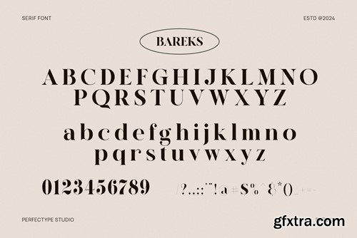 Bareks Elegant Serif Font Typeface DUJZYDZ