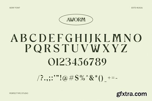 Aworm Elegant Serif Font Typeface NK97LT9