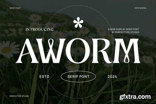 Aworm Elegant Serif Font Typeface NK97LT9