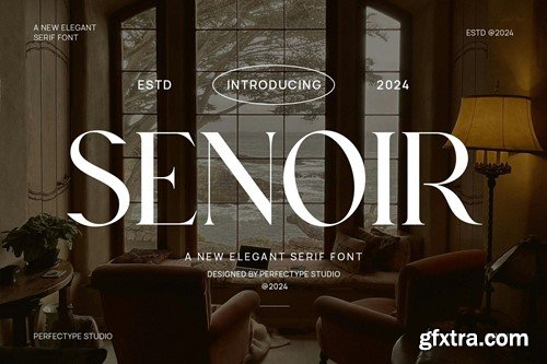 Senoir Elegant Serif Font Typeface AFXLQY3