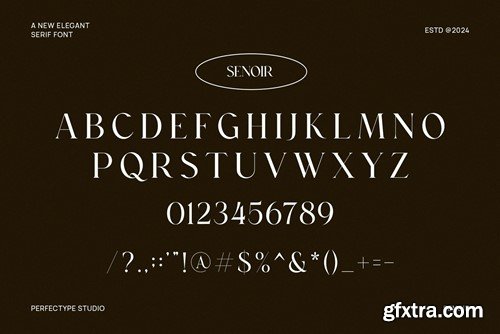 Senoir Elegant Serif Font Typeface AFXLQY3