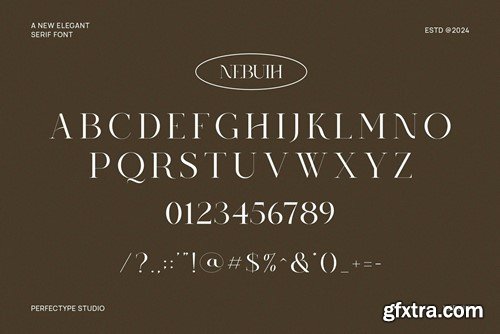 Nebuih Elegant Serif Font Typeface SMTSVYU