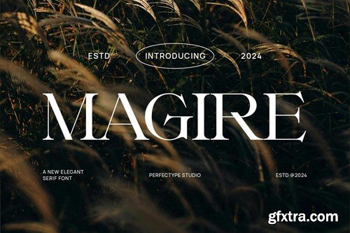 Magire Elegant Serif Font Typeface SVGEKQE