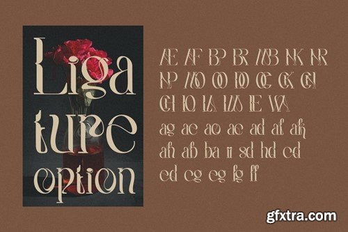 Warlenk - Elegant Serif Font DBX79VF