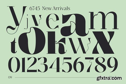 Segina - Psychedelic Serif Family SV9G5BB