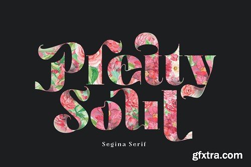 Segina - Psychedelic Serif Family SV9G5BB