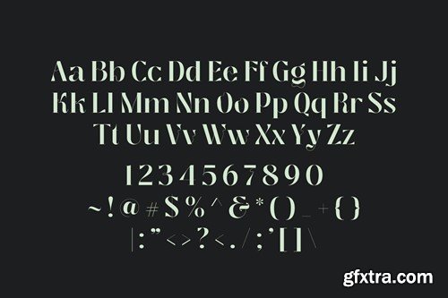 Segina - Psychedelic Serif Family SV9G5BB