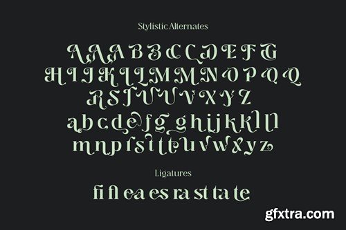 Segina - Psychedelic Serif Family SV9G5BB