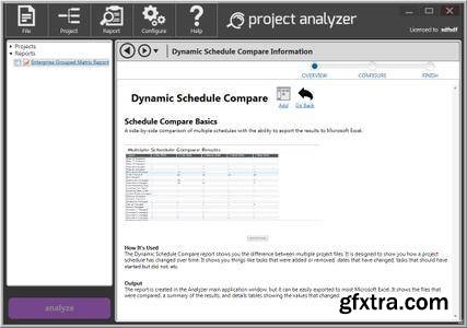 Steelray Project Analyzer 7.17.4