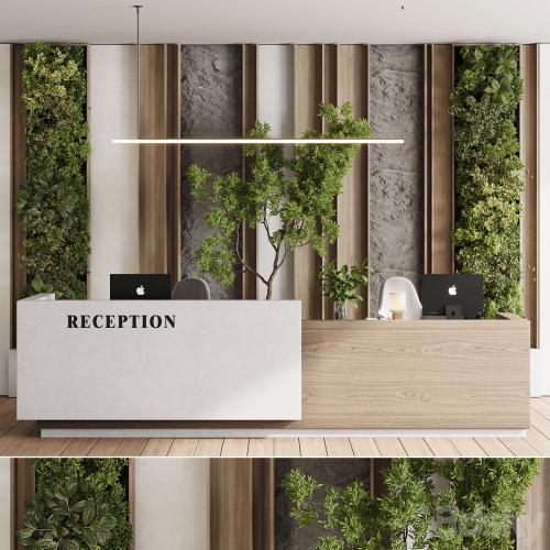 Reception Desk and Wall decor - office furniture 22 corona