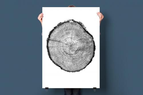 26 Large Tree Ring Textures